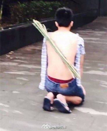 ѧŮſڡ 